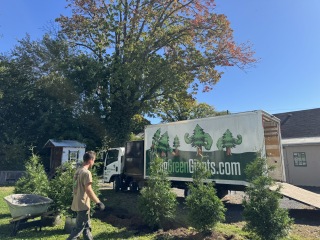 Big Green Giants delivery truck parked beside the new privacy planting in Doylestown, PA.