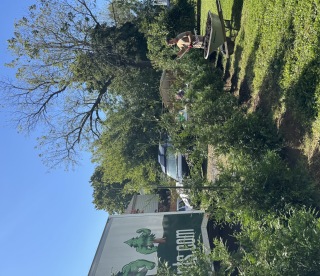 Caleb working beside a newly planted row of Green Giant arborvitae along a backyard lawn.