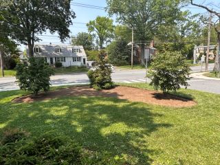 Removing sod and preparing soil for new native garden bed in Wilmington, DE