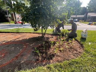 Planting native landscape plugs of perennials and grasses in Wilmington, DE