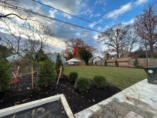 Beds with planted Arborvitae, American holly and southern magnolia along parking area at Chabad House, UD.