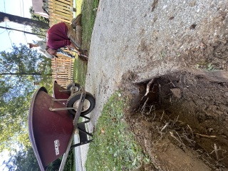Crew member digging beside a concrete sidewalk to prepare a drainage pipe crossing beneath it