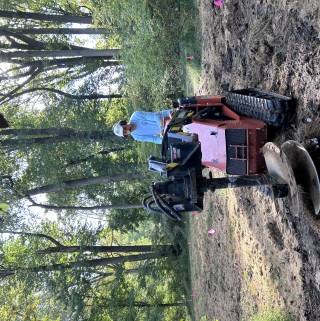One Thousand Hands Horticulture operator drilling a planting hole with an auger at Tyler Arboretum in Media PA