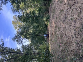 Wide view of a flagged meadow work area with a crew and tracked machine at Tyler Arboretum