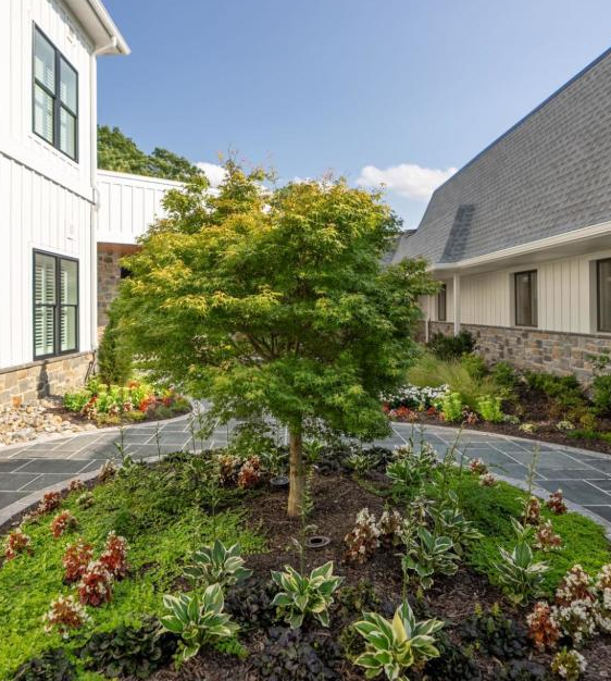 Landscaped courtyard at Samara House