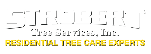 Strobert Tree Services | Trusted Tree Care in Delaware & PA