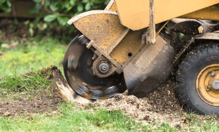 Stump Grinding Services