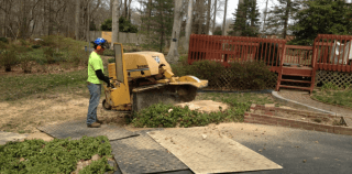 Stump Grinding Services