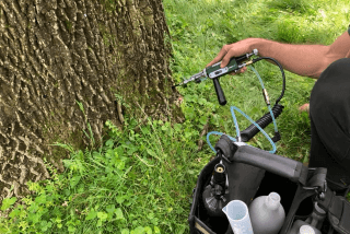 Plant Health Care Services