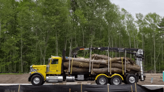 The tree service experts - Delaware, Pennsylvania & Maryland tree services.