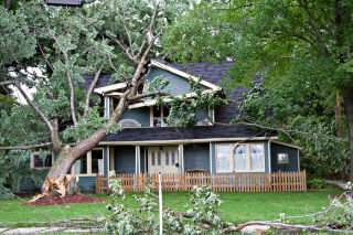 Storm Damage Services