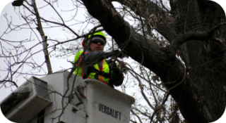 Storm Damage Response in Newark, Delaware