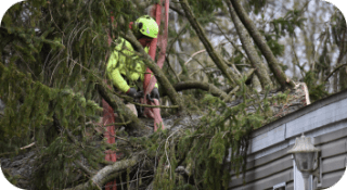 24 Hour Emergency Tree Services in Newark, Delaware