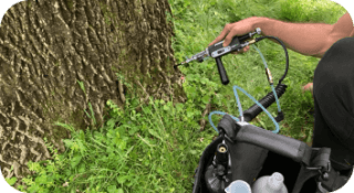 Plant Health Care Service in Newark, Delaware