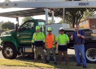 Tree Service in Newark, Delaware