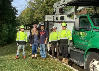 Professional Tree Service in Lewes, Delaware