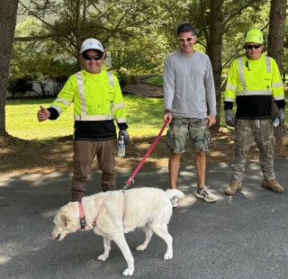 Strobert Tree Services' Large Crane Tree Removal in Philadelphia Mainline, PA