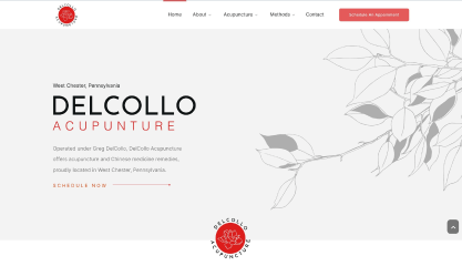 Top of the website of a Pennsylvania Acupuncture company